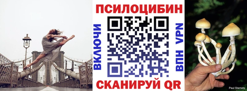 Псилоцибиновые грибы Magic Shrooms  ссылка на мегу ссылка  Копейск 